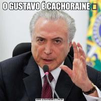O GUSTAVO É CACHORAINE ❤