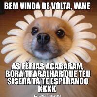 BEM VINDA DE VOLTA, VANE AS FÉRIAS ACABARAM, BORA TRABALHAR QUE TEU SISERA TÁ TE ESPERANDO KKKK 