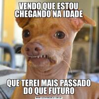 VENDO QUE ESTOU CHEGANDO NA IDADEQUE TEREI MAIS PASSADO DO QUE FUTURO