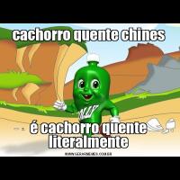 cachorro quente chinesé cachorro quente literalmente