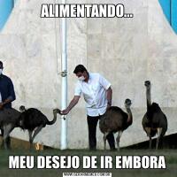 ALIMENTANDO...MEU DESEJO DE IR EMBORA