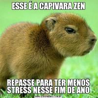 ESSE É A CAPIVARA ZENREPASSE PARA TER MENOS STRESS NESSE FIM DE ANO