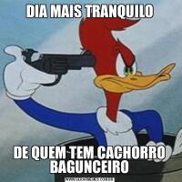 DIA MAIS TRANQUILODE QUEM TEM CACHORRO BAGUNCEIRO