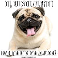 OI, EU SOU ALFREDE ADORARIA CAGAR EM VOCÊ