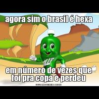agora sim o brasil é hexaem número de vezes que foi pra copa e perdeu