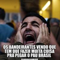 OS BANDEIRANTES VENDO QUE TEM QUE FAZER MUITA COISA PRA PEGAR O PAU BRASIL 