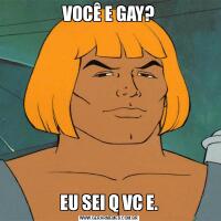 VOCÊ E GAY?EU SEI Q VC E.