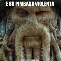 É SÓ PIMBADA VIOLENTA