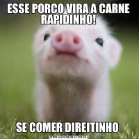 ESSE PORCO VIRA A CARNE RAPIDINHO!SE COMER DIREITINHO 