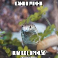 DANDO MINHAHUMILDE OPINIÃO