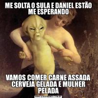 ME SOLTA O SULA E DANIEL ESTÃO ME ESPERANDOVAMOS COMER CARNE ASSADA CERVEJA GELADA E MULHER PELADA