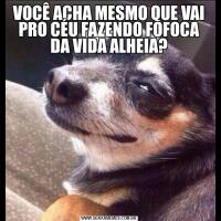 VOCÊ ACHA MESMO QUE VAI PRO CÉU FAZENDO FOFOCA DA VIDA ALHEIA?