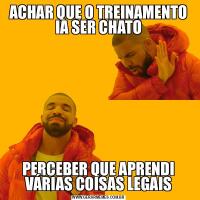 ACHAR QUE O TREINAMENTO IA SER CHATOPERCEBER QUE APRENDI VÁRIAS COISAS LEGAIS