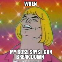 WHEN MY BOSS SAYS I CAN BREAK DOWN 