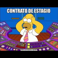 CONTRATO DE ESTAGIO