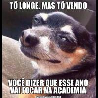 TÔ LONGE, MAS TÔ VENDOVOCÊ DIZER QUE ESSE ANO VAI FOCAR NA ACADEMIA