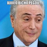 XIIIII,O BICHO PEGOU