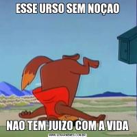ESSE URSO SEM NOÇAONAO TEM JUIZO COM A VIDA