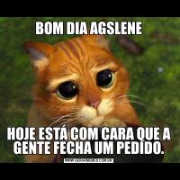 BOM DIA AGSLENEHOJE ESTÁ COM CARA QUE A GENTE FECHA UM PEDIDO.