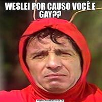 WESLEI POR CAUSO VOCÊ E GAY??