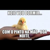 HOJE VOU DORMIR...COM O PINTO NA MÃO.  BOA NOITE.