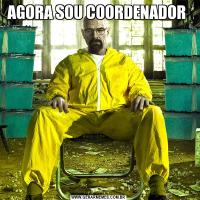 AGORA SOU COORDENADOR 