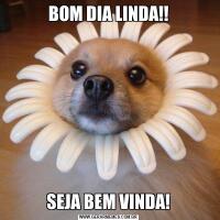 BOM DIA LINDA!!SEJA BEM VINDA!