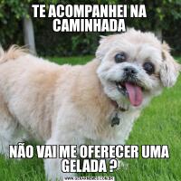 TE ACOMPANHEI NA CAMINHADANÃO VAI ME OFERECER UMA GELADA ?