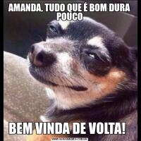 AMANDA, TUDO QUE É BOM DURA POUCOBEM VINDA DE VOLTA!  