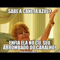 SABE A CANETA AZUL?ENFIA ELA NO CU, SEU ARROMBADO DO CARALHO!