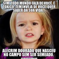 SIM, TODO MUNDO FALA DE VOCÊ, É TÓXICO, TEM INVEJA DE VOCÊ, QUER SABER DA SUA VIDA...ALECRIM DOURADO QUE NASCEU NO CAMPO SEM SER SEMEADO. 