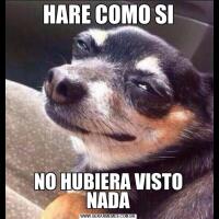 HARE COMO SINO HUBIERA VISTO NADA