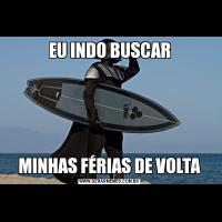 EU INDO BUSCARMINHAS FÉRIAS DE VOLTA