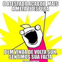 O ATESTADO ACABOU  MAIS A META TE ESPERABEM VINDA DE VOLTA SUH, SENTIMOS SUA FALTA