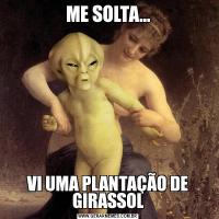ME SOLTA...VI UMA PLANTAÇÃO DE GIRASSOL