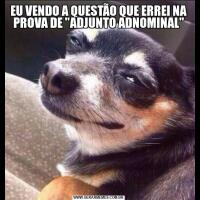 EU VENDO A QUESTÃO QUE ERREI NA PROVA DE "ADJUNTO ADNOMINAL"