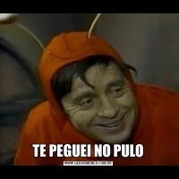 TE PEGUEI NO PULO