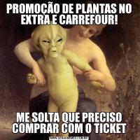 PROMOÇÃO DE PLANTAS NO EXTRA E CARREFOUR!ME SOLTA QUE PRECISO COMPRAR COM O TICKET
