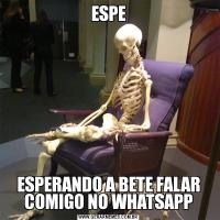 ESPEESPERANDO A BETE FALAR COMIGO NO WHATSAPP