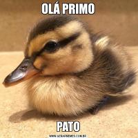 OLÁ PRIMOPATO