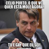 CÉLIO PORTO, O QUE VC QUER ESTÁ MOLE AGORA!TU É GAY QUE EU SEI!