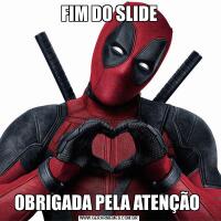 FIM DO SLIDEOBRIGADA PELA ATENÇÃO 