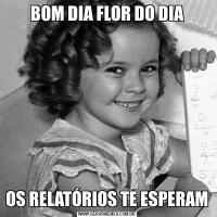 BOM DIA FLOR DO DIAOS RELATÓRIOS TE ESPERAM