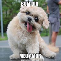 BOM DIA MEU AMOR