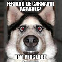 FERIADO DE CARNAVAL ACABOU?NEM PERCEBI!!!