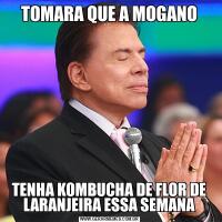 TOMARA QUE A MOGANOTENHA KOMBUCHA DE FLOR DE LARANJEIRA ESSA SEMANA