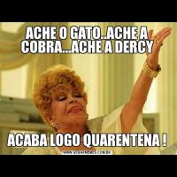 ACHE O GATO..ACHE A COBRA...ACHE A DERCYACABA LOGO QUARENTENA !