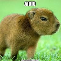 AIOIO