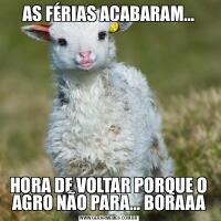 AS FÉRIAS ACABARAM…HORA DE VOLTAR PORQUE O AGRO NÃO PARA… BORAAA