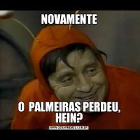 NOVAMENTEO  PALMEIRAS PERDEU, HEIN?